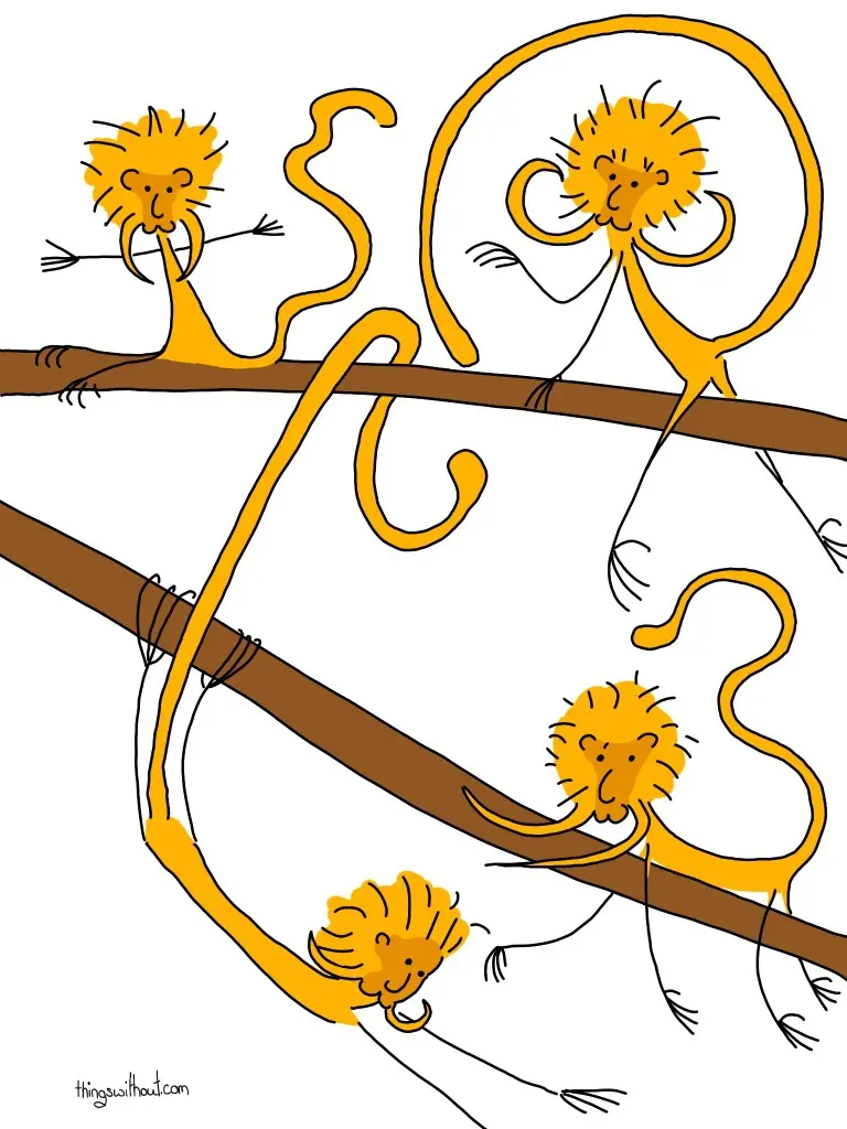 drawing of a small tamarin bouncing around branches