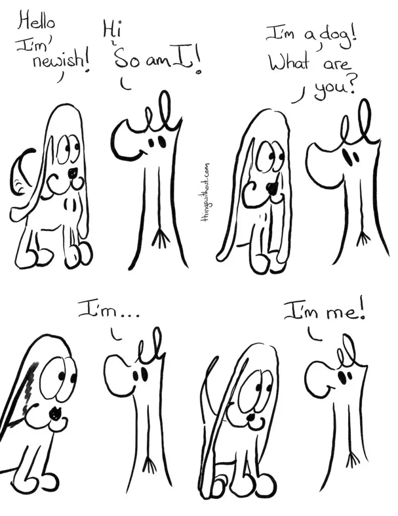 Transcript Dog: Hello, I'm newish! Doodle entity: Hi, so am I! Dog: I'm a dog! What are you? Doodle creature: I'm... Doodle thingy: I'm me! Thanks to all my patrons and a special big extra thanks to Kate Webb, Erik Owomoyela and Sandra M. Odell.