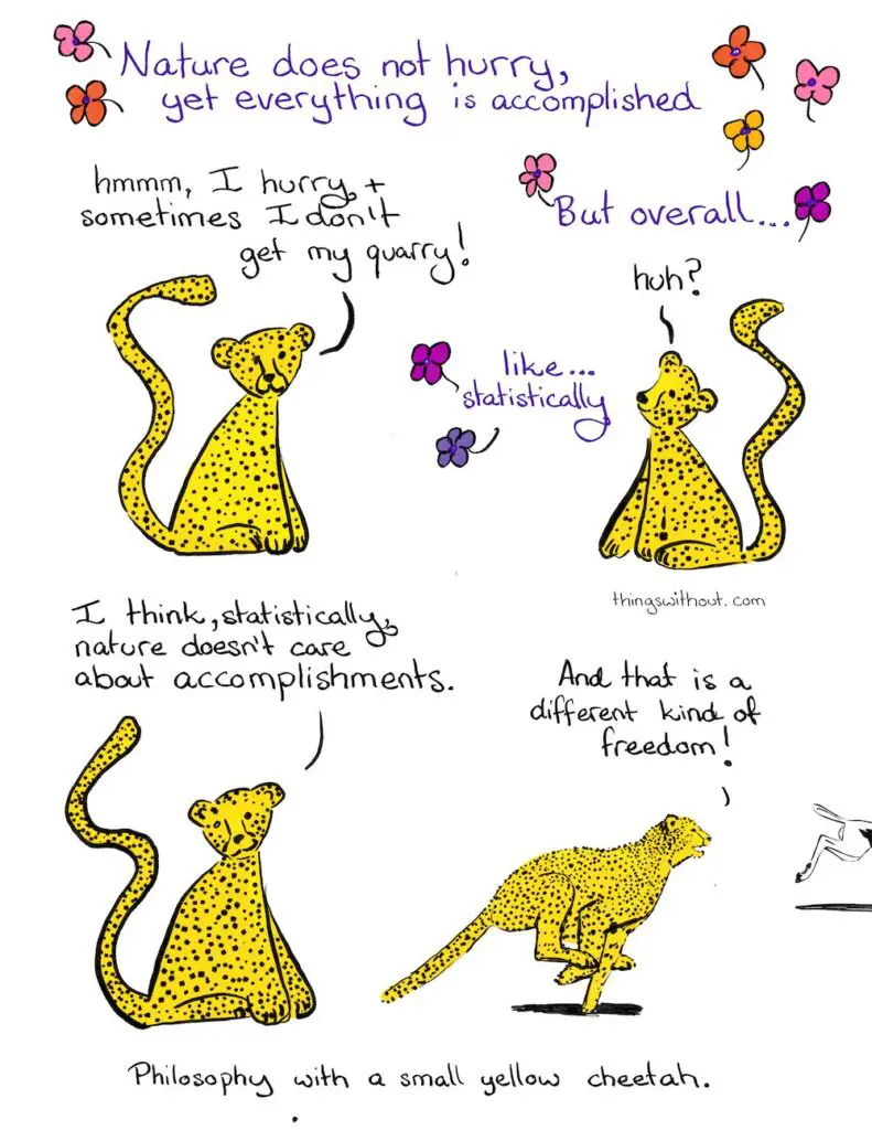 Nature Comic Transcript Narrator: Nature does not hurry, yet everything is accomplished. Cheetah: Hmmmm, I hurry sometimes, and I don’t get my quarry. Narrator: But overall… Cheetah: Huh? Narrator: Like… statistically Cheetah: I think, statistically, nature doesn’t care about accomplishments. The cheetah chases a gazelle. Cheetah: And that is a different kind of freedom! Philosophy with a small yellow cheetah.