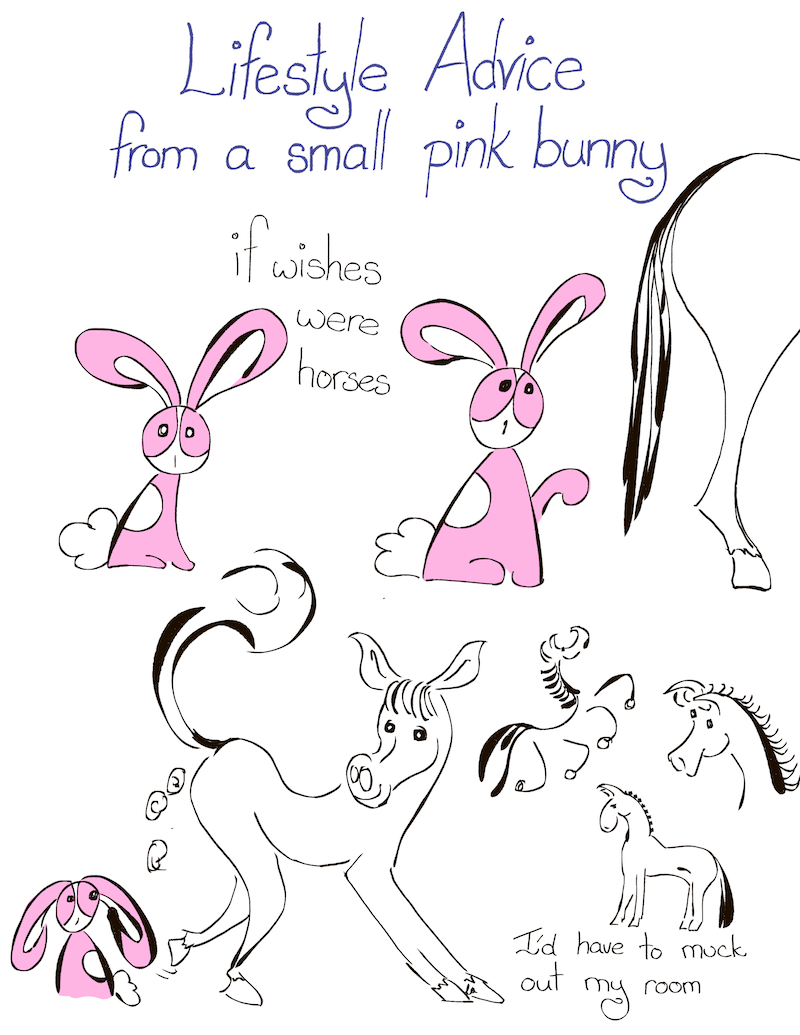 566: Lifestyle advice from a small pink bunny – if wishes were horses