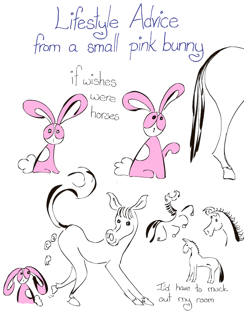 Lifestyle advice from a small pink bunny – if wishes were horses (Comic #566)